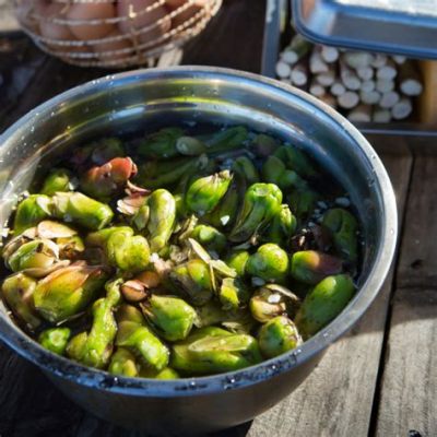  Waterblommetjie Bredie: Eine herzhafte Suppe mit einem Hauch von Frühling im südafrikanischen Zululand!